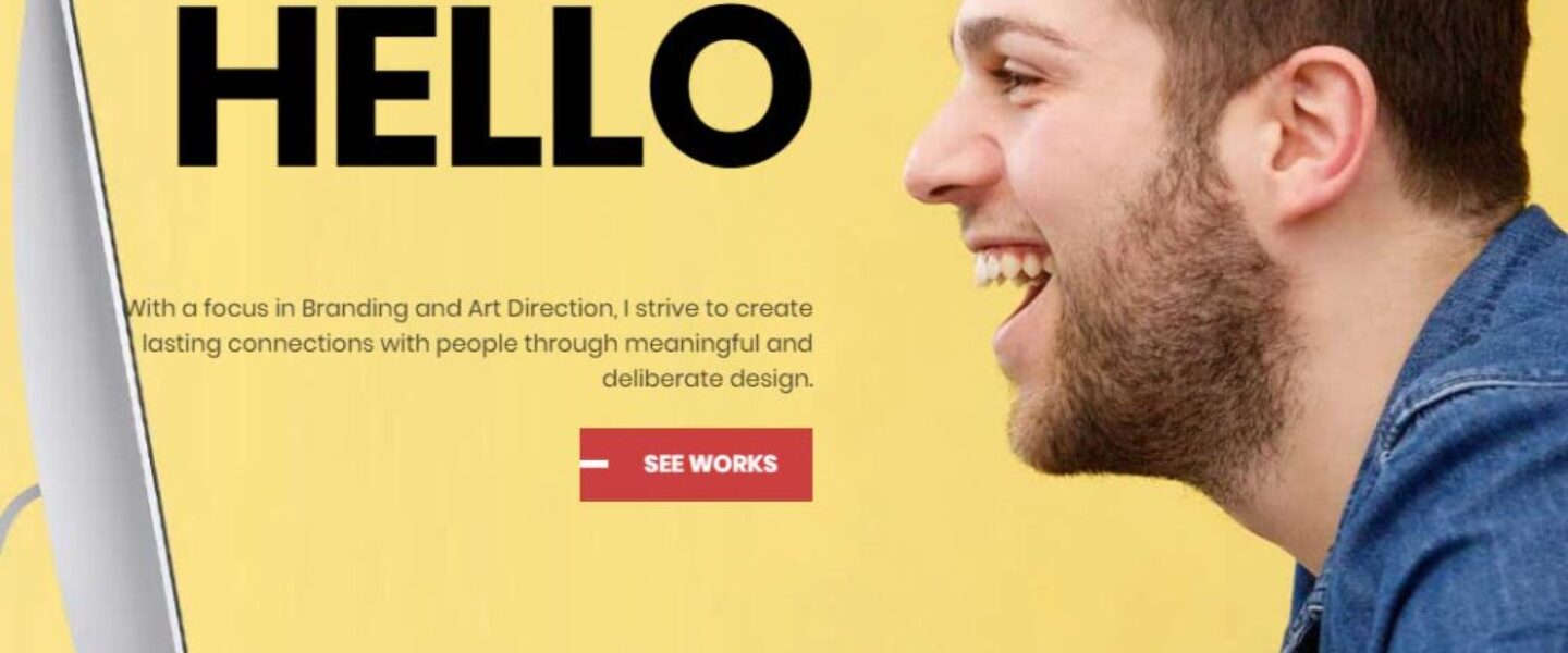 portfolio-theme-skin